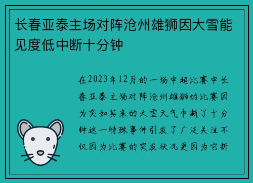 长春亚泰主场对阵沧州雄狮因大雪能见度低中断十分钟 长春亚泰主场对阵沧州雄狮因大雪能见度低中断十分钟